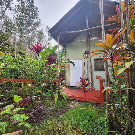 Cabin 2-Rustic Private Stay Near Volcano National Park Fern Forest Eksteriør bilde